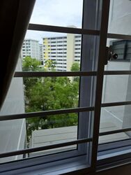 Blk 550 Bedok North Avenue 1 (Bedok), HDB 3 Rooms #503246691